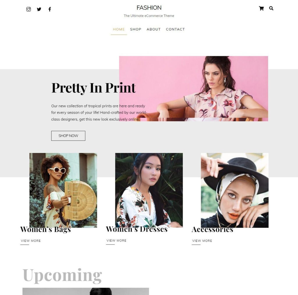 Discover Versatile Moderate Themes | Create a Unique Online Experience